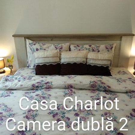 Casa Charlot Apartment Brasov Ngoại thất bức ảnh