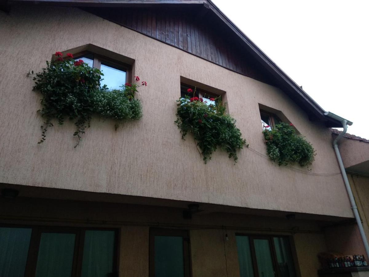 Casa Charlot Apartment Brasov Ngoại thất bức ảnh