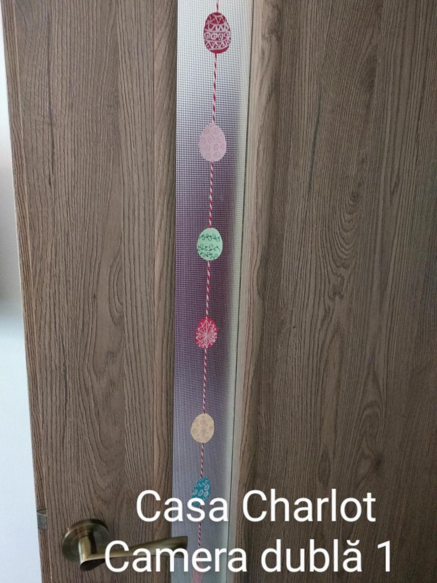 Casa Charlot Apartment Brasov Ngoại thất bức ảnh