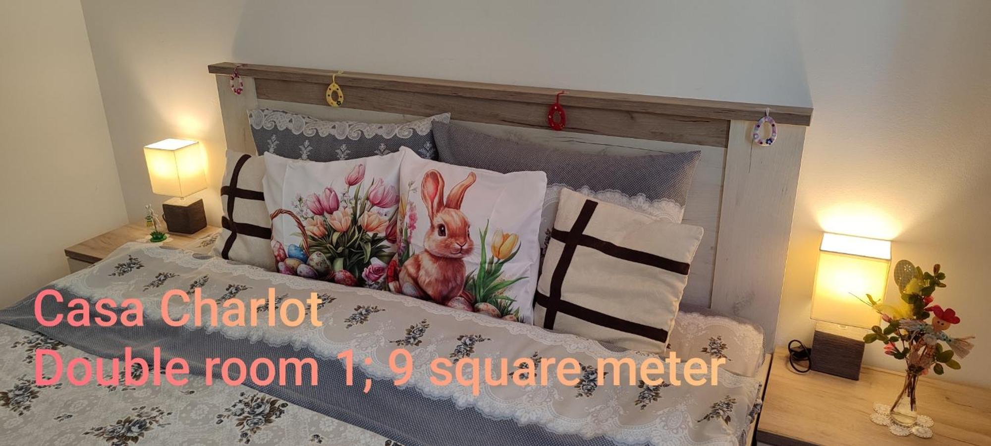 Casa Charlot Apartment Brasov Ngoại thất bức ảnh
